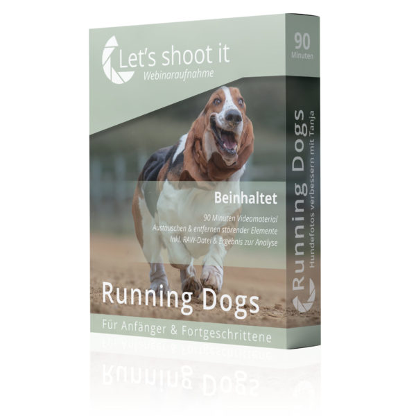 Tierfotografin Tanja zeig im Webinar Running Dogs die digitale Bearbeitung von Hundefotos